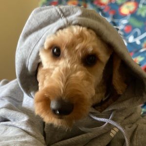 Meet your Posher, Mary